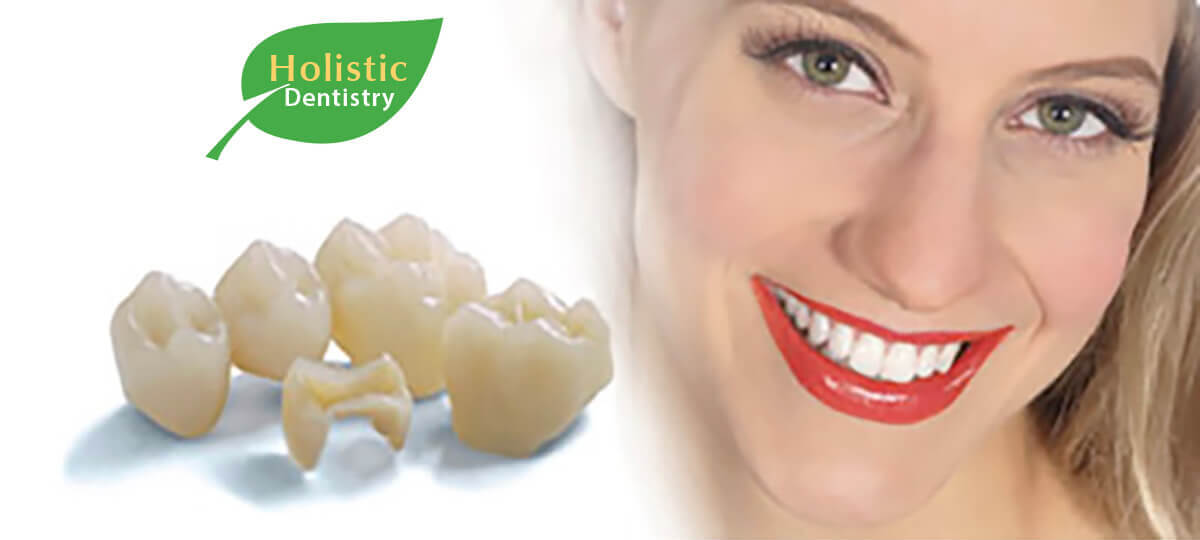 pro art overview of holistic dentistry